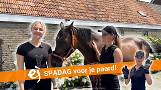 HOW TO Spadag voor je paard  MEGA GIVE AWAY  Epplejeck giveaway [upl. by Lobiv]