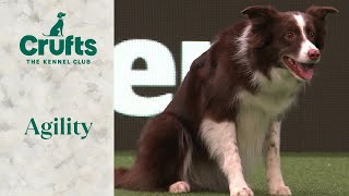 Agility  Championship LargeIntermediate Part 2 Agility  ​Crufts 2024 [upl. by Jacobson]