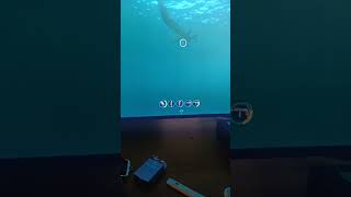 reaper leviathan reported for camping [upl. by Ayim962]