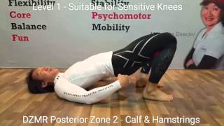 DZMR Posterior Zone 2  Calf amp Hamstrings [upl. by Ardnnaed]