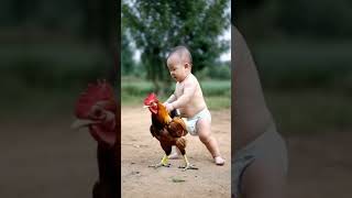 Wearing diapers you still dare to bully the rooster cute baby and animal Where does the chicken [upl. by Marney569]