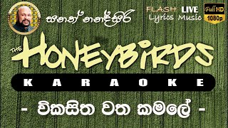 Vikasitha Watha Kamale Karaoke Without Voice විකසිත වත කමලේ කැරෝකේ [upl. by Nerrawed]