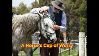 A Horses Cup of Worry [upl. by Odlo]