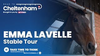 Emma Lavelle Stable Tour  Paisley Park latest Cheltenham 2024 [upl. by Aohk]