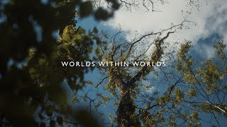 Josh Garrels  Worlds Within Worlds [upl. by Aisinoid478]