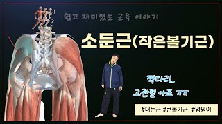 소둔근이 고관절의 심각한 통증을 유발하는 거 아세요27소둔근 [upl. by Quent]