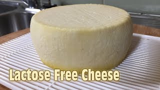 Lactose Free Cheese  In The Style of Caerphilly [upl. by Regnij]