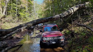 Broncos on Pistol Creek Fall 2024 [upl. by Gallard459]