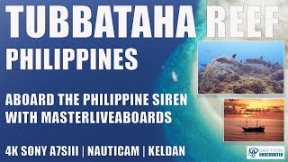 4K Tubbataha Reef Philippines Scuba diving aboard the Philippines Siren liveaboard in June 2024 [upl. by Patty]