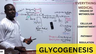 Metabolism  Glycogenesis [upl. by Niltyak894]