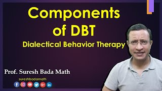 Essential Components of Dialectical Behavior Therapy DBT [upl. by Leinad557]