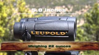 Leupold BX1 McKenzie 10X42 Binoculars [upl. by Orodoet]