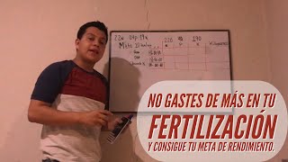 ¿Cómo Calcular fertilización para tu cultivo Nitrógeno fósforo y potasio  Cultivo de maiz [upl. by Oiludbo922]