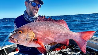 Fishing The Ningaloo Reef  Exmouth in a roof topper [upl. by Naud]