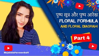 पुष्प सूत्र और पुष्प आरेख  Floral formula and floral Diagram  Part 4 [upl. by Mannes]