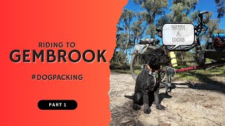 Riding Gravel Roads with My Dog Oscar  Exploring Gembrooks Cycling Trails Part 1 [upl. by Nennerb]