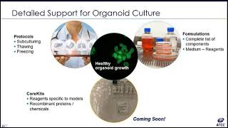 Tips and Techniques for Culturing Organoids [upl. by Hochman]