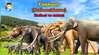 ELEPHANTS  Size comparison  All proboscideans [upl. by Shulamith]