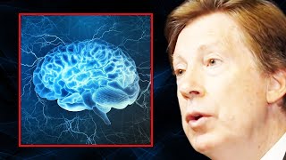 The TOP SUPPLEMENTS to Keep Your Brain Sharp  Dr Dale Bredesen [upl. by Ibby]