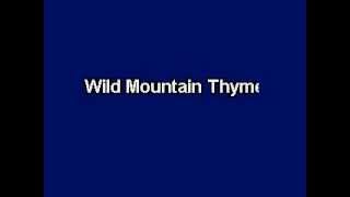 Wild Mountain Thyme Karaoke video with lyrics Instrumental version [upl. by Aliekahs]