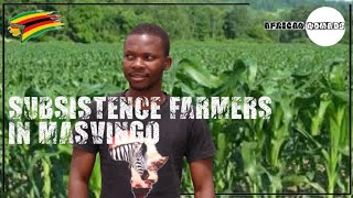 Subsistence Farming in Masvingo  What Subsistence Farmers Have Got To Say  masvingo zimbabwe [upl. by Ecerahs]