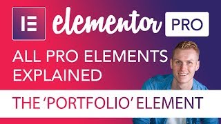 The Portfolio Element Tutorial  Elementor Pro [upl. by Thgirw]