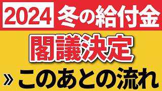 【給付金】3万円で決定！支給時期は？物価高対策をわかりやすく解説 （2024年冬石破内閣住民税非課税世帯） [upl. by Nylrahc]