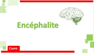 Encéphalite amp MéningoEncéphalite 🧠🩺  Cours  Neurologie [upl. by Cobb384]