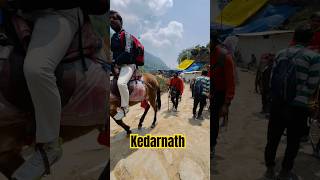 Unbelievable Kedarnath Journey Thrilling Updates amp Stunning Scenery 🌲🔥kedarnath travel [upl. by Nnahtebazile220]