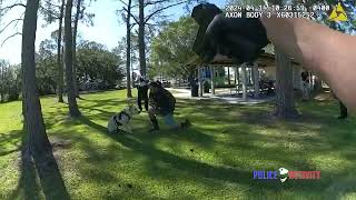 quotShocking Incident Man Shoots Hillsborough County Deputy Amid Tasing Encounterquot [upl. by Adelpho]