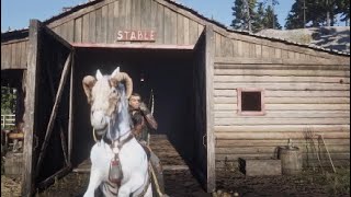 RDR2 Online The BEST Horse Collection Showcase wType Breed Names included [upl. by Golanka]