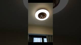 Ceiling Fan Doshisha Japan Circulight Swing DCEASW12CL Ceiling Fan 風扇燈吊扇燈燈堂入室 Indoor Lighting [upl. by Joelynn]