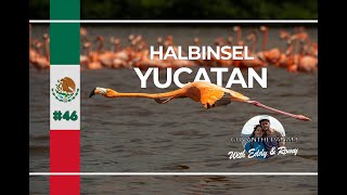 HALBINSEL YUCATAN  Palenque Edzna Celestun Cenote Merida Izamal  vanlife Mexico  46 [upl. by Htidirrem]