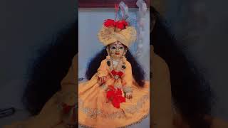 Mera laddu Gopal bada pyara Lage pyara Lage Radhe Radhe Radhe [upl. by Nrobyalc]