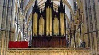 Lincoln  Anglican Cathedral quotThe Lord Is My Shepherdquot [upl. by Nnailuj111]