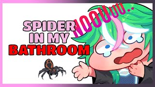 I found an spider in my bathroom [upl. by Cathie661]