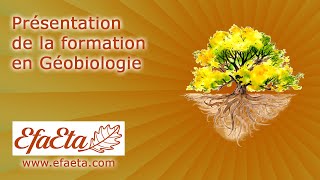 Présentation de la Formation en géobiologie  Devenir Géobiologue  Bretagne [upl. by Onirefez]