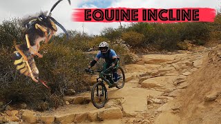 Equine Incline Update Elfin Forest Black Diamond Trail Mountain Biking San Diego [upl. by Filiano]