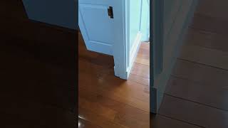 hardwood floor cleaning [upl. by Joelie]