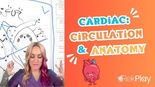 RekPlay  The Basics  Lesson 26  Circulation and Anatomy [upl. by Enirhtac]