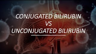 Conjugated Bilirubin VS UnConjugated Bilirubin [upl. by Attesor900]