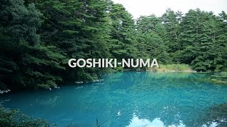 Goshiki numa Fukushima  One Minute Japan Travel Guide [upl. by Terej846]