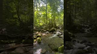 Tennessee Gatlinburg National Park River [upl. by Eemla708]