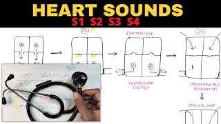 Heart Sounds  S1 S2 S3 S4  Physiology [upl. by Aracat]