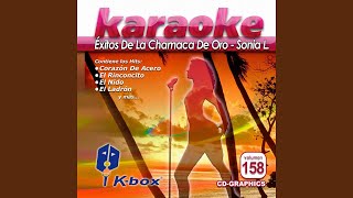 Laberinto Karaoke Version [upl. by Scholz576]