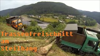 Trassenfreischnitt am Steilhang  380kV  Hochspannung  Pumpspeicherkraftwerk Hohenwarte [upl. by Ema]