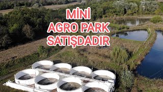 Mini AqroPark SatışdadırQax ray Qaratala kəndində 50 ha sahəsi Var [upl. by Emee]