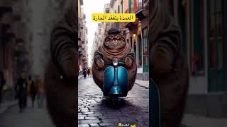 اكسبلور proboscis funnyترندcatالعمدة [upl. by Andromeda]