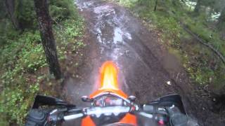 ktm 690 enduro forest run [upl. by Ardme]