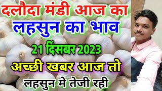 दलौदा मंडी आज का लहसुन का भाव 21 दिसंबर 2023 fresh garlic rate today daloda mandi aaj ka bhav [upl. by Econah]